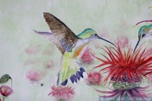 Muurschildering Bloemen en Kolibrie